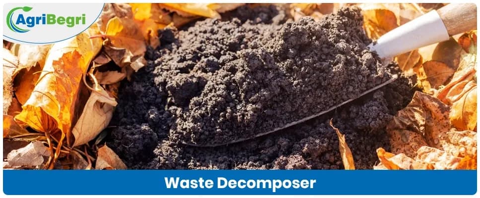 Waste Decomposer In Agriculture