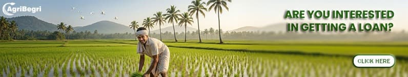 Agri finance — grow your farm with easy loans