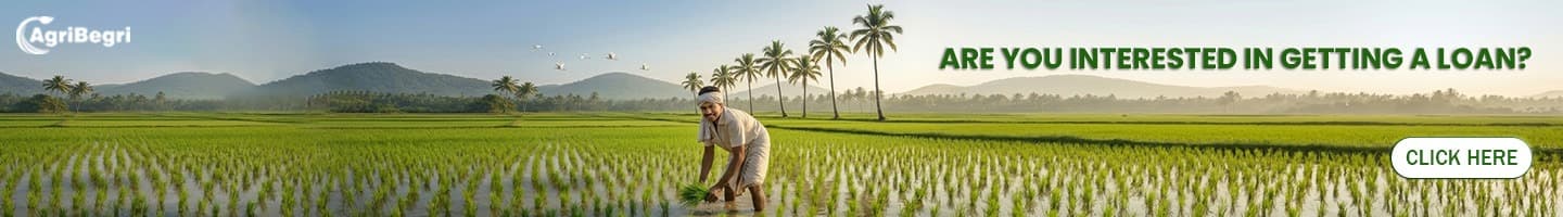 Agri finance — grow your farm with easy loans