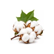 Cotton