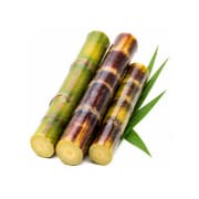 Sugarcane