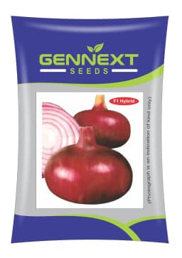 Gennext Pioneer F1 Hybrid Onion Seeds, Round to Oval Shape, Heirloom Variety 1