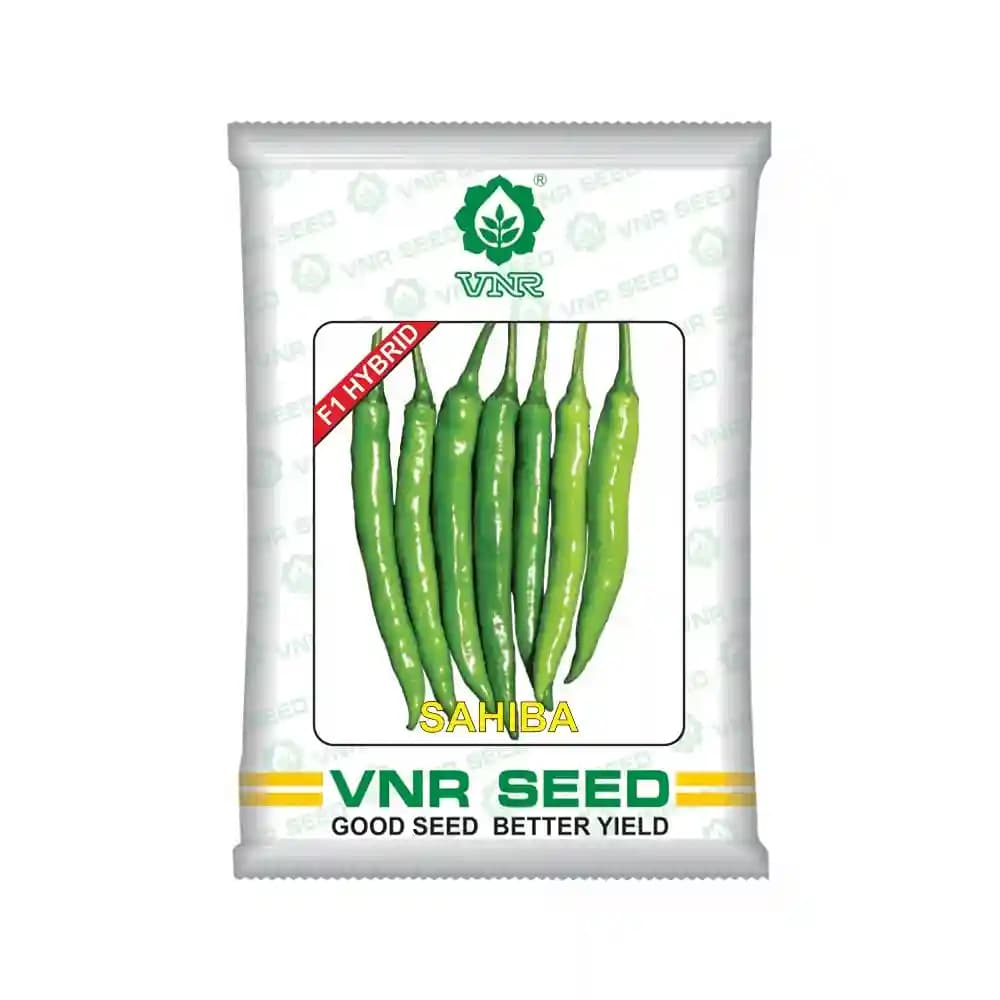 VNR Sahiba Chilli Seeds - Image 1