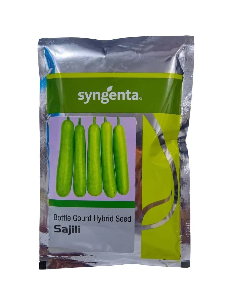 Syngenta Sajili Bottle Gourd Hybrid Seeds, High Yield Early Harvesting - Image 1
