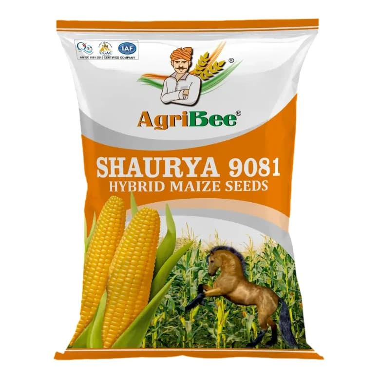 AgriBee Shaurya 9081 Hybrid Maize Seeds High Yield Corn Variety - Image 1