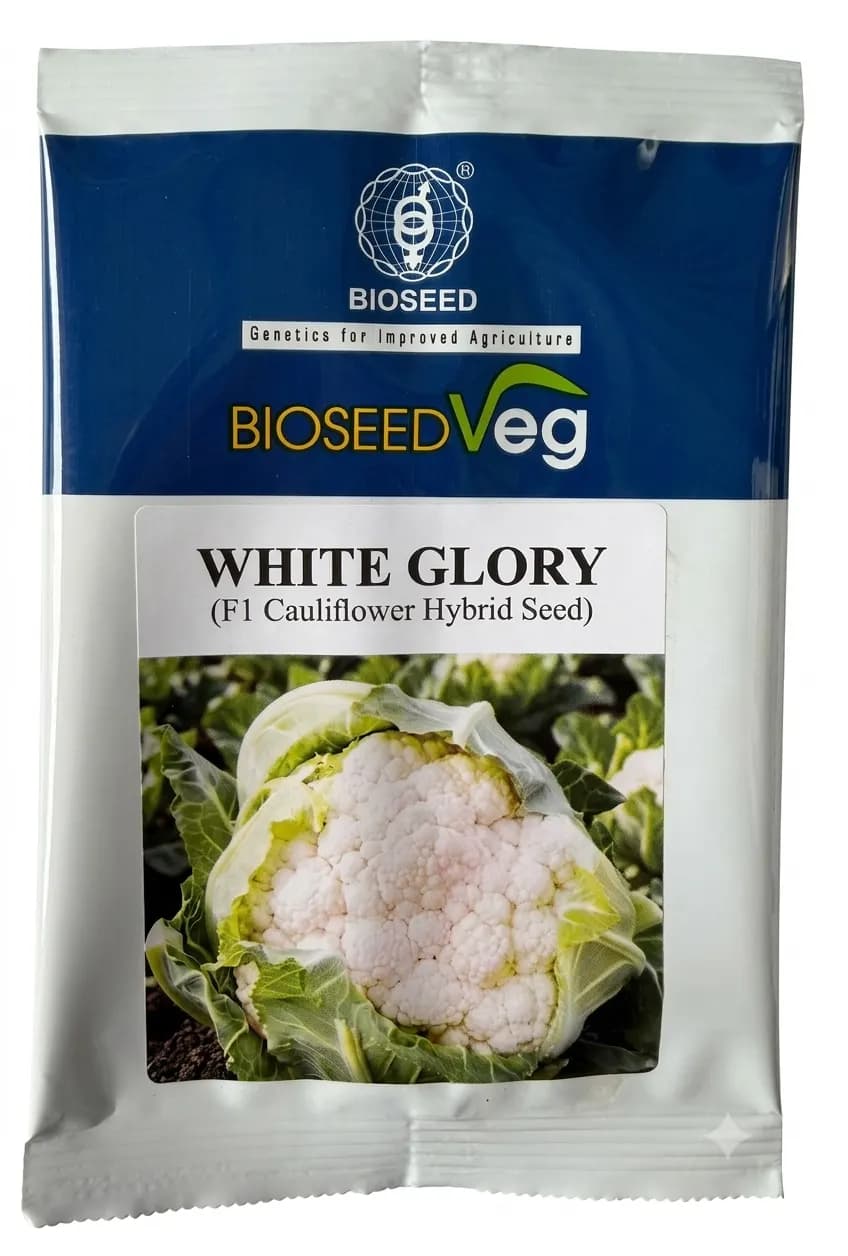 Bioseed White Glory Cauliflower Seeds - Phool Gobhi Seeds - Image 1