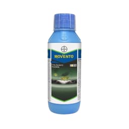 Movento OD - Spirotetramat 150 OD Excellent Control of Hidden Pests 2-Way Systemic Insecticide in the World, it translocates in the xylem and phloem. 1