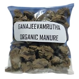 Pasuthai Ganajeevamrutha, Nutrient Rich Natural Soil Manure, Plant And Soil Growth Stimulator 1