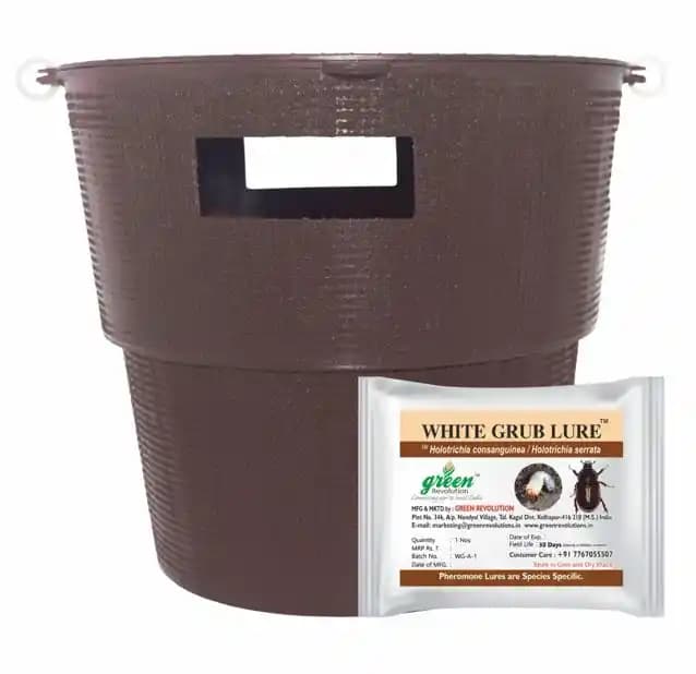 Holotrichia Consanguinea, Holotrichia Serrata Pheromone Trap & Lure, Controlling of White Grub In Sugarcane, Groundnut, Chilli, Guava and Others