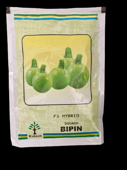 Kalash F1 Hybrid Bipin Squash Seeds, Light Green Tinda Seed, Good For Long Transportation - Image 1