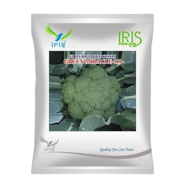 Iris Green Miracle-111 F1 Hybrid Broccoli Seeds, High Yield, Bluish Green Beads And Disease Tolerant