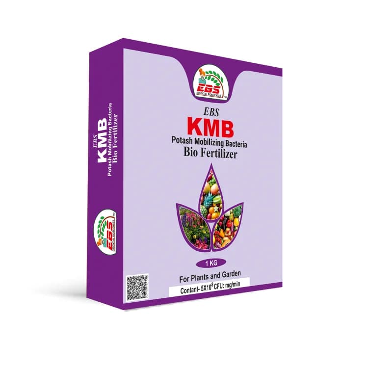 EBS KMB Potash Mobilizing Bacteria 5x10^8 CFU Bio Fertilizer, Use for Plants, Crops And Home Garden