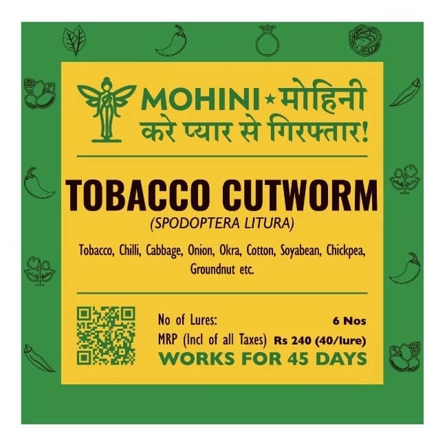 Biowall Mohini Tobacco Cutworm Pheromone Lure, Spodoptera Litura For Control In Multiple Crops - Image 1