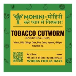 Biowall Mohini Tobacco Cutworm Pheromone Lure, Spodoptera Litura For Control In Multiple Crops 1