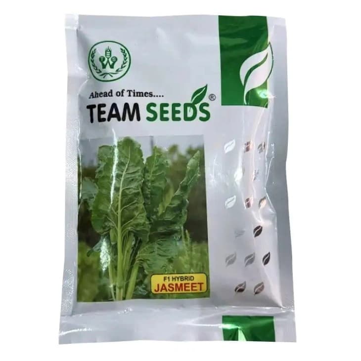 Team Seeds F1 Hybrid Jasmeet Spinach Seeds, Palak Seeds, Suitable For Indian Conditions - Image 1