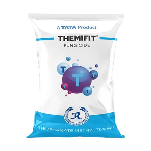Tata Rallis Themifit Thiophanate Methyl 70% WP Fungicide, Effective Disease Control For Powdery Mildew, Scab, Ring Rot And Anthracnose