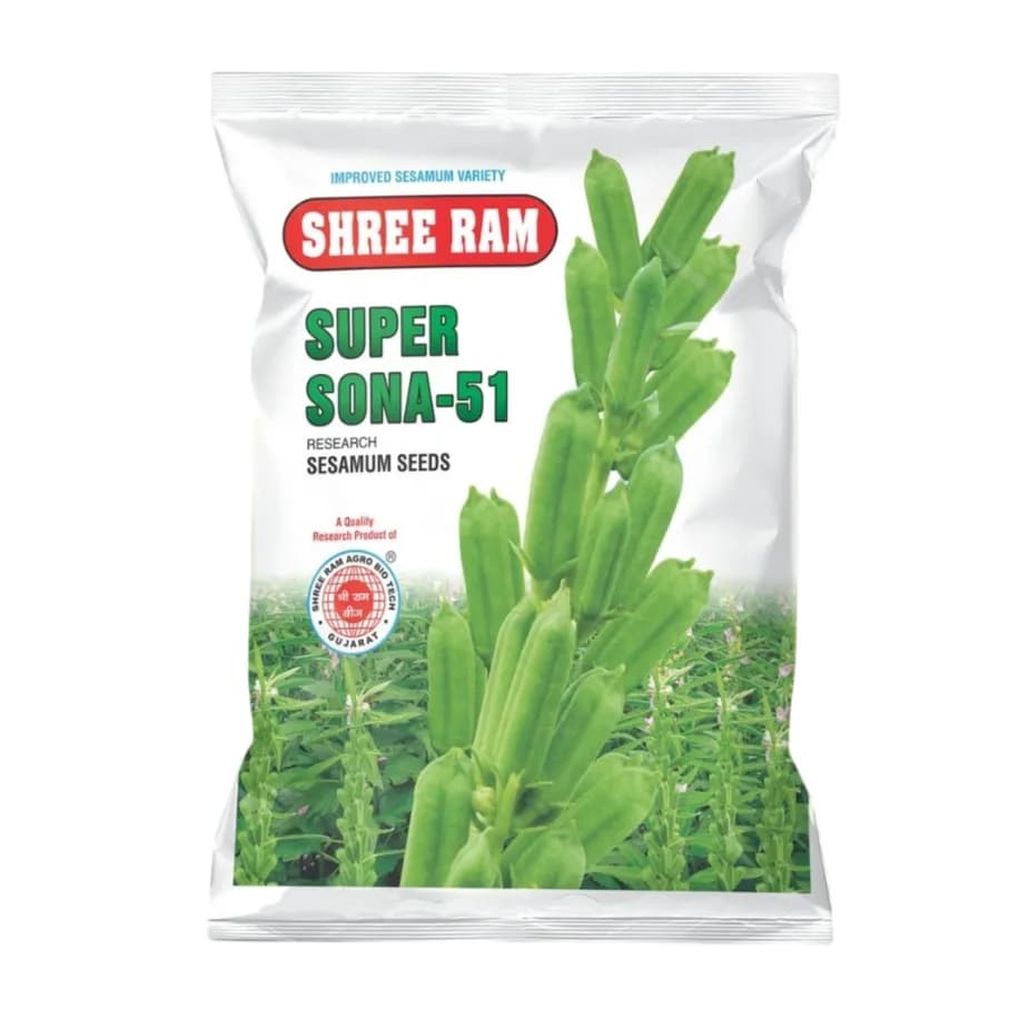 Shree Ram SUPER SONA-51 Research Sesame Seeds, High Yielding White Til Variety - Image 1