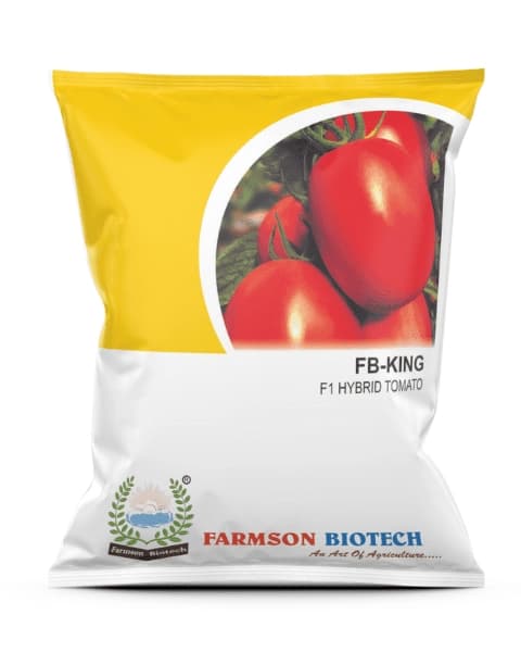 Farmson FB King F1 Hybrid Tomato Seeds, High Yield & Square Oval Shaped and Red Color.