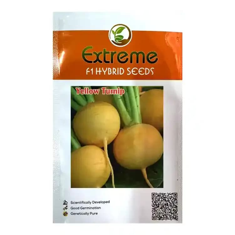 Extreme Yellow Turnip Madhu F1 Hybrid Seeds, Open Pollinated, Globe Round Shape - Image 1