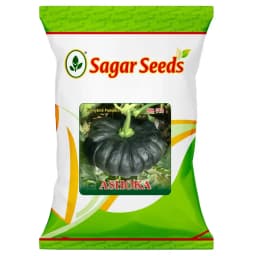 Sagar Ashoka F1 Hybrid Pumpkin Seeds, High Yield, Flat Round, For Kharif and Summer Season 1