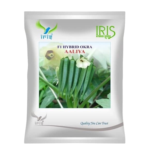 Iris Aaliya F1 Hybrid Okra Seeds, Bhindi Ke Beej, High Yielding And Early Maturity - Image 1