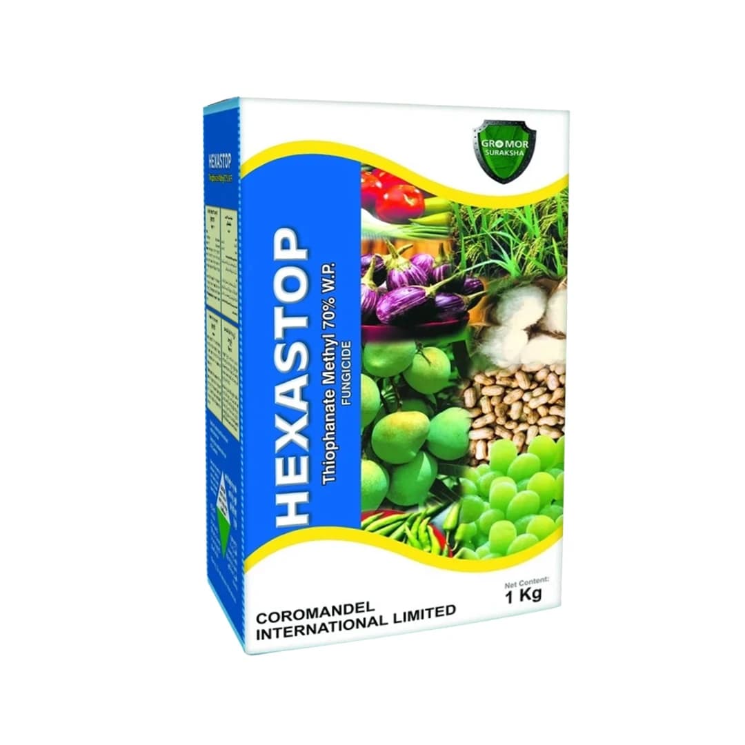 Coromandel HEXASTOP Thiophanate Methyl 70% WP Fungicide, Highly Effective In Controlling Fungal Diseases - Image 1
