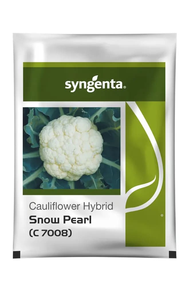 Syngenta Snow Pearl C7008 Cauliflower Hybrid Seeds Early White Curd - Image 1