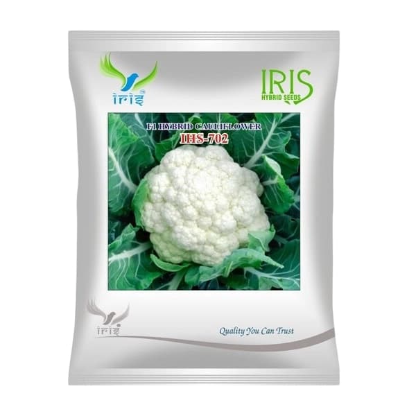 Iris IHS-702 F1 Hybrid Cauliflower Seeds, High Yield, Disease Tolerant And Self Curving Variety - Image 1