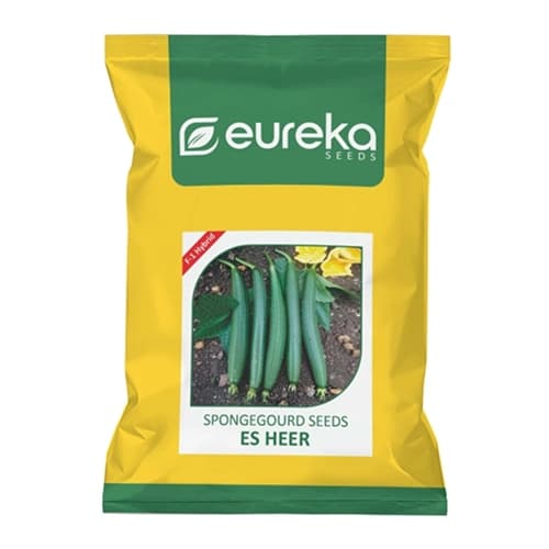 Eureka ES HEER F1 Hybrid Sponge Gourd Seeds, High Yield And Dark Green Fruits - Image 1