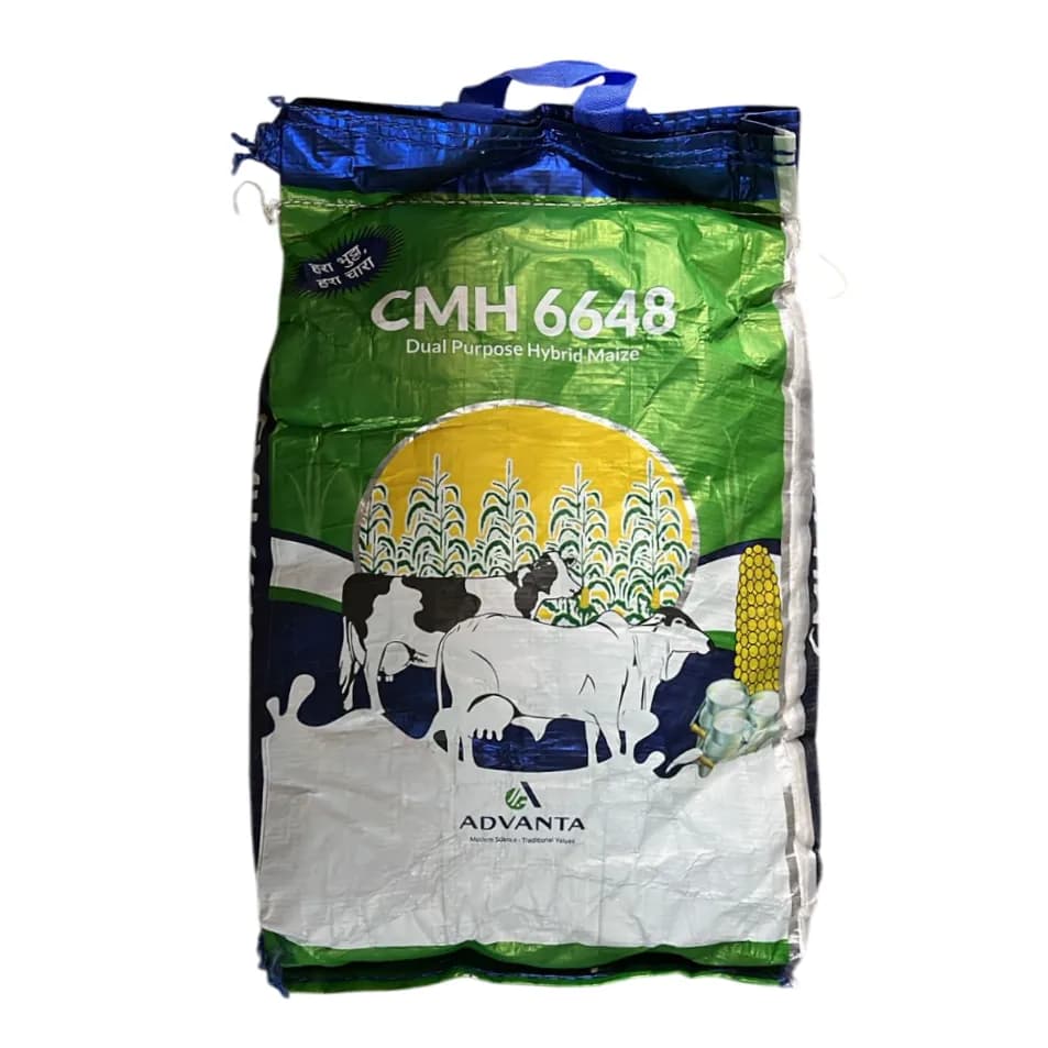 Advanta CMH 6648 Hybrid Maize Seeds, Dual Purpose, Green Corn And Fodder Use