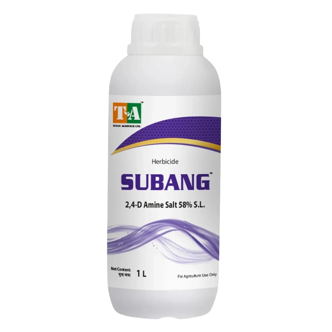 Titan Agritech Subang 2,4-D Amine Salt 58% SL Selective, Systemic Herbicide - Image 1