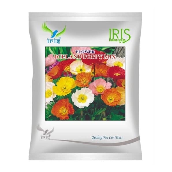 Iris Iceland Poppy Mix Hybrid OP Flower Seeds, Imported, Large Colourful Flowers, Easy To Grow - Image 1