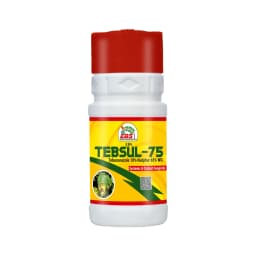EBS Tebsul-75 Tebuconazole 10% + Sulphur 65% WG Fungicide, Used for Wheat, Rice, Groundnut, Tea, Soybean, Banana and Coffee. 1