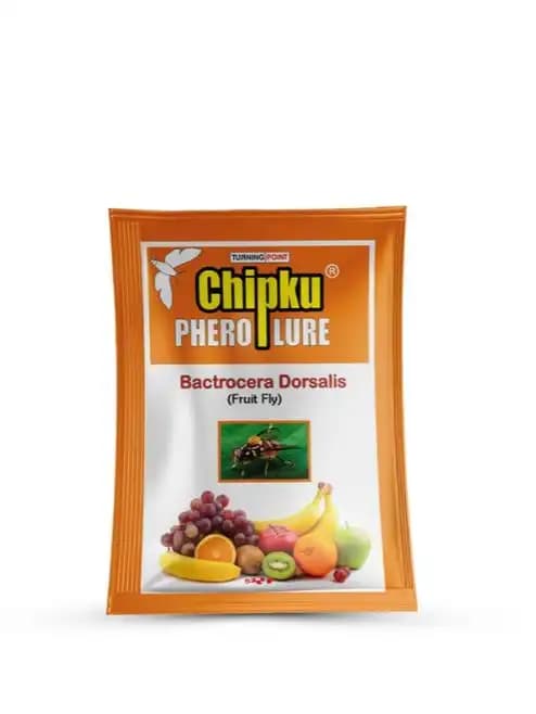 Chipku Pheromone Ecomax Trap With Fruit Fly Lure (Bactrocera Dorsalis), Attracts Targeted Pest Only, For Fruit and Vegetables Crops - Image 2