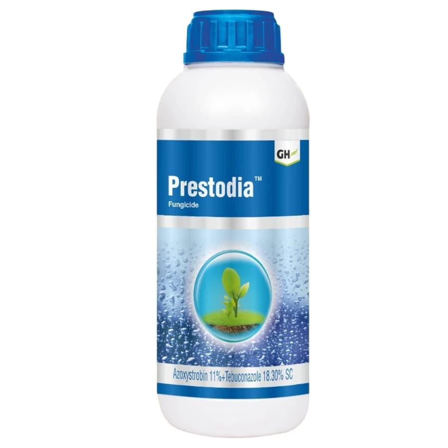 GH Prestodia Azoxystrobin 11% + Tebuconazole 18.30% SC Fungicide, Effective Disease Control In Multiple Crops - Image 1