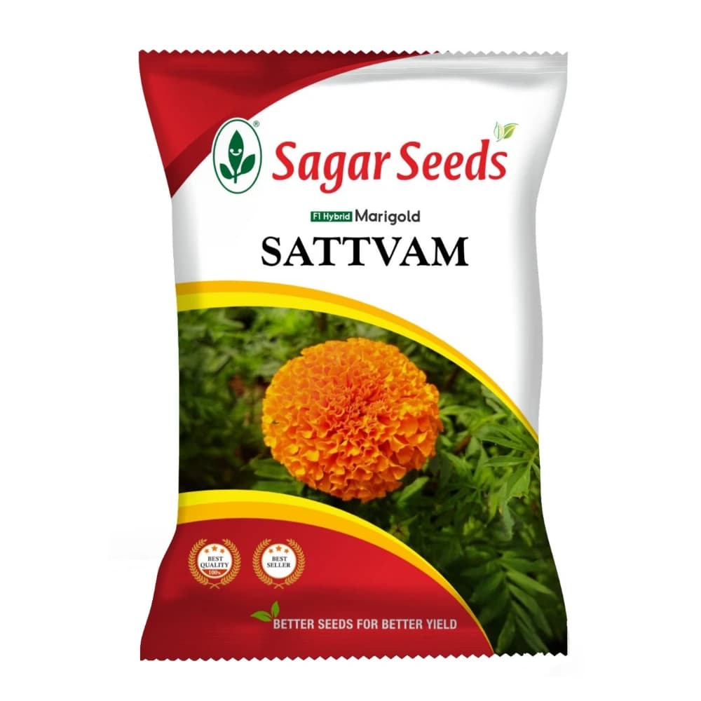 Sagar Satvam F1 Hybrid Marigold Seeds, Deep Orange, Honeycomb Shaped, Suitable For Round The Year Cultivation