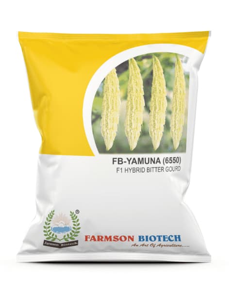 Farmson FB Yamuna 6550 F1 Hybrid White Bitter Gourd Seeds, (Long) Strong Sturdy Vines Plant, Cylindrical Shape