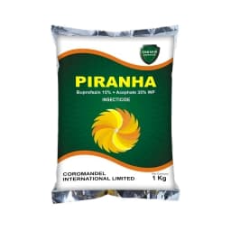 Coromandel Piranha Buprofezin 15% + Acephate 35% WP, Long-Lasting and Effective Tool for BPH and WBPH in Rice. 1