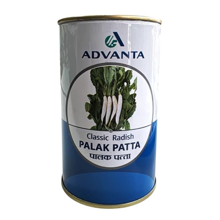 Advanta Palak Patta Hybrid Classic Radish Seeds, High Yield, Early Maturity, Ideal For Short Duration Crops - Image 1