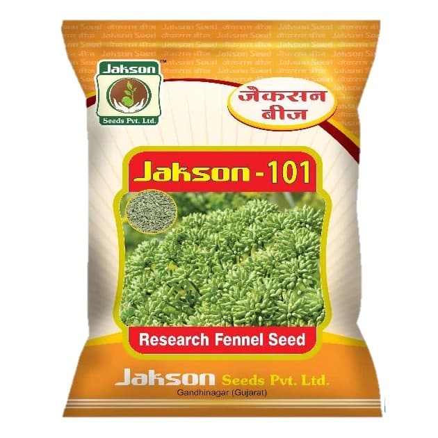 Jakson 101 Research Fennel Seeds, Early Maturing And High Yield Variety, Ideal For Rabi Season Season - Image 1