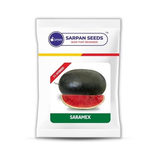 Sarpan F1 Hybrid Saramex Watermelon Seeds, Blackish Green, Oval And Thinner Rind - Image 1