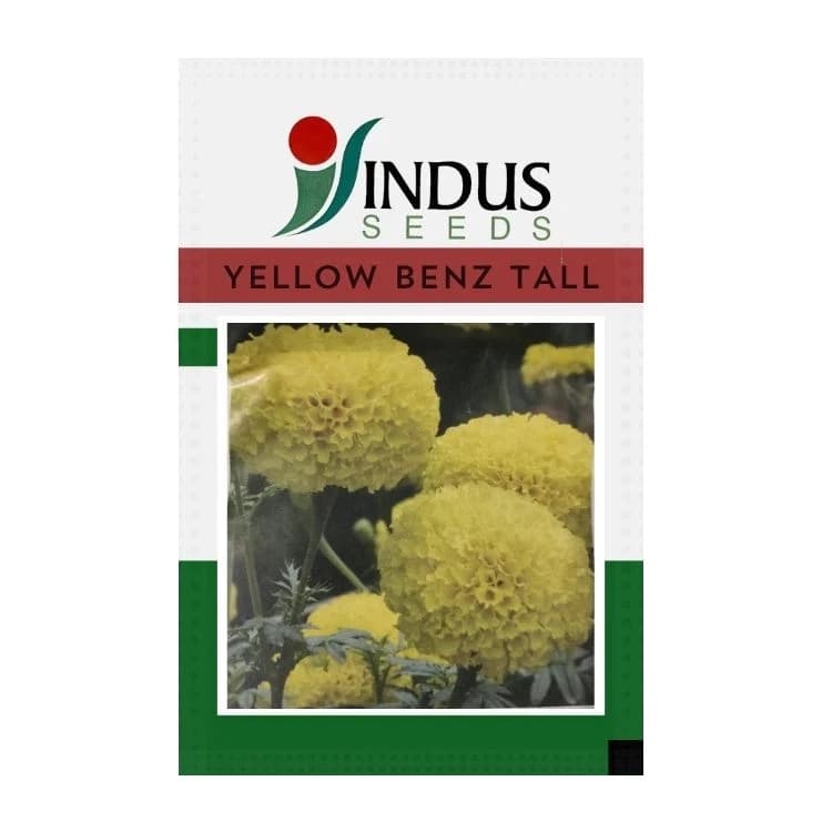 Indus Yellow Benz Tall F1 Hybrid Marigold Flower Seeds, Vibrant Lemon Yellow Blooms - Image 1