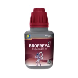 PI Brofreya Broflanilide 20% SC Mainly used for management of Lepidopteran & sucking pests 1