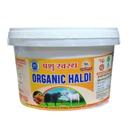 PASHU SVASTH ORGANIC HALDI, Animal Health Supplements, A Natural Shield for Animals, Increase Immunity, Fighting Cancer And More 1