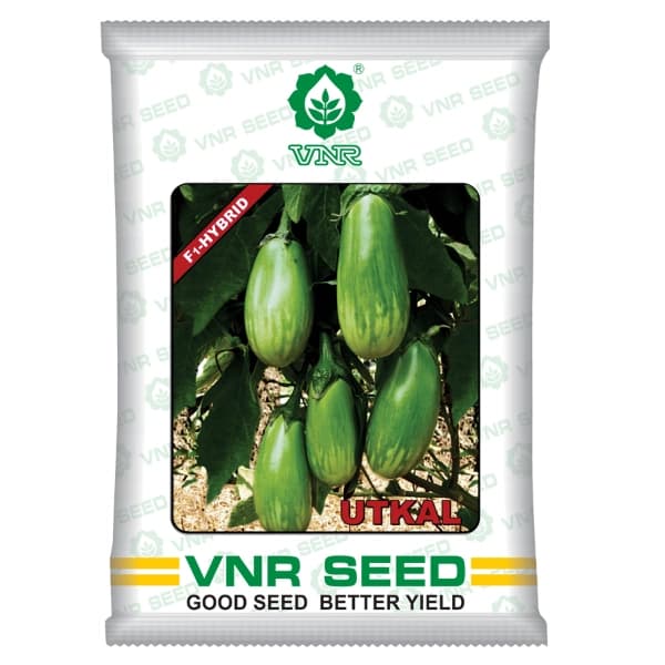 VNR Utkal Brinjal Seeds - (Baingan Seeds) Best Quality and Germination - Image 1