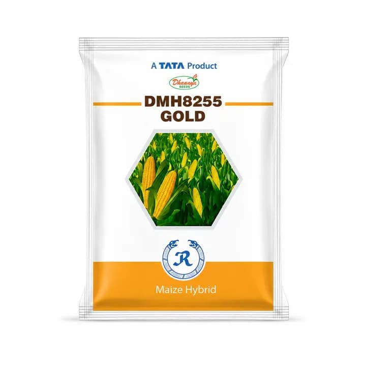 Tata 8255 Gold Hybrid Maize Seed - Image 1