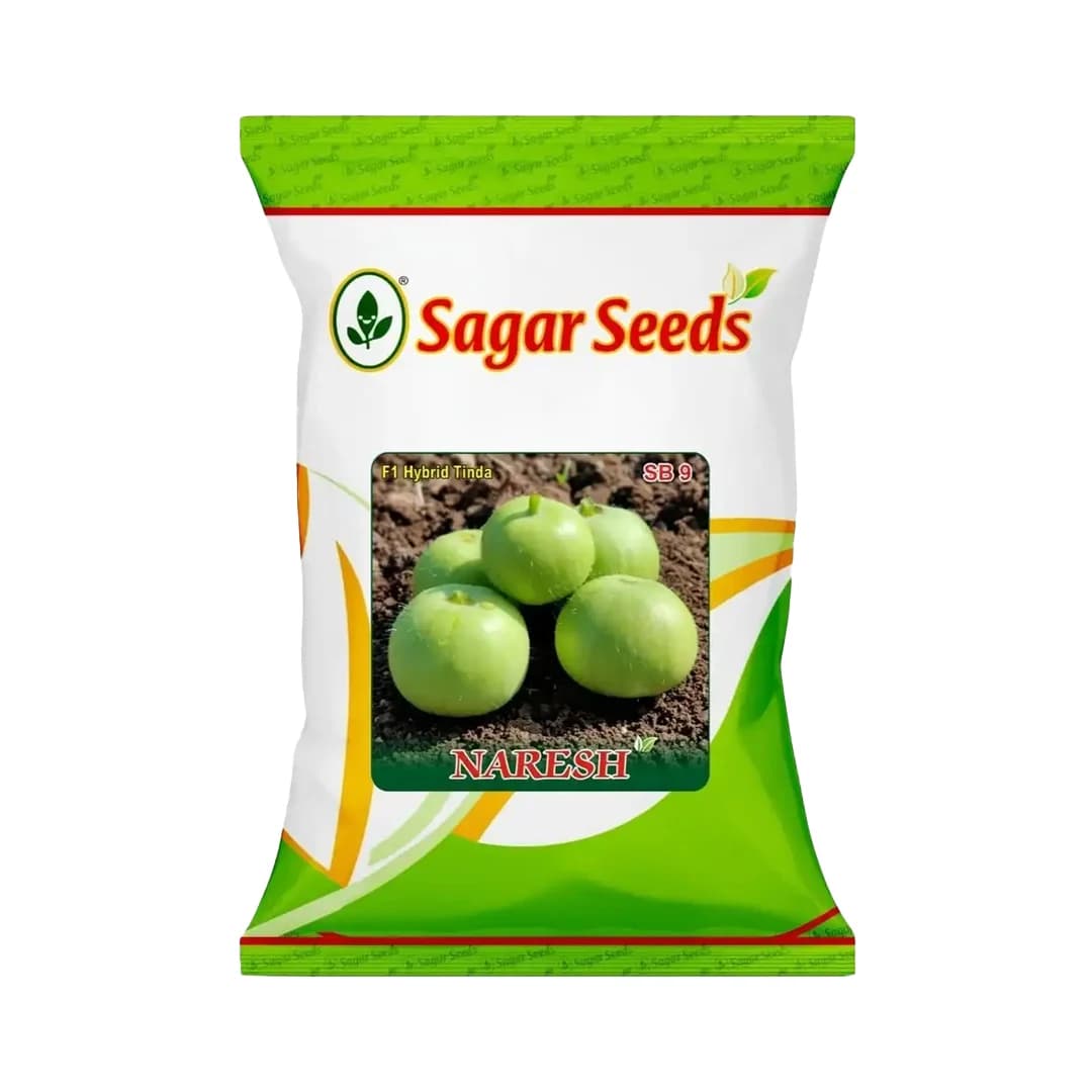 Sagar Naresh F1 Hybrid Tinda Seeds, High Yield, Early Maturity, Light Green Hairy Fruits - Image 1