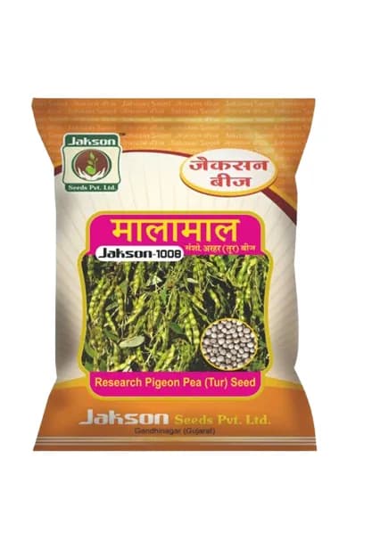 Jakson 1008 Malamal Research Pigeon Pea Seeds For Kharif Farming Use - Image 1