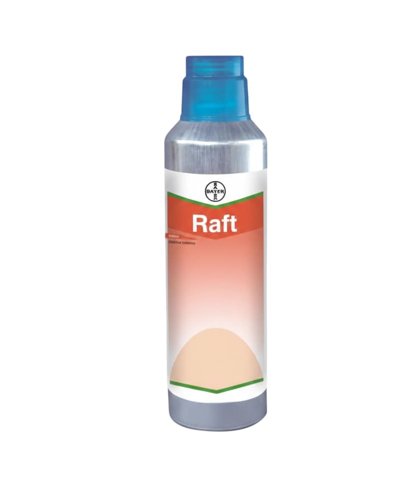 Bayer Raft Oxadiargyl 6% EC Herbicide Long-Lasting Weed Control In Rice Fields - Image 1