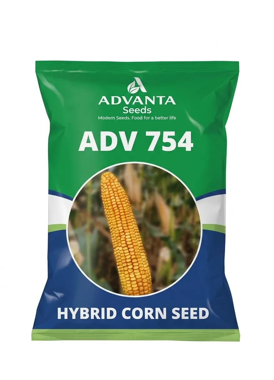 Advanta ADV 754 Hybrid Corn Seeds Maize Seeds For Better Productivity - Image 1